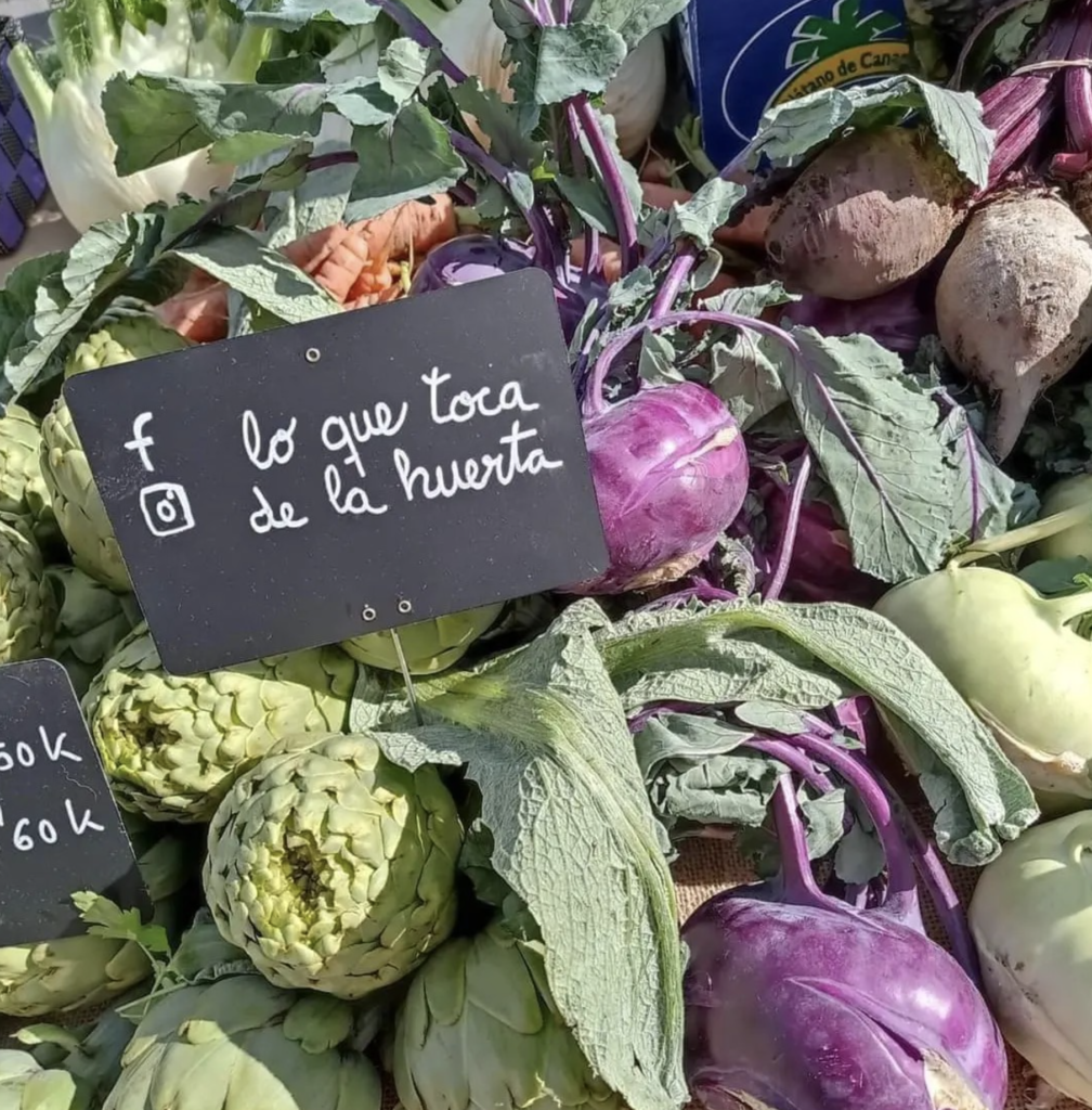 lo-que-toca-huerta