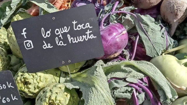 lo-que-toca-huerta